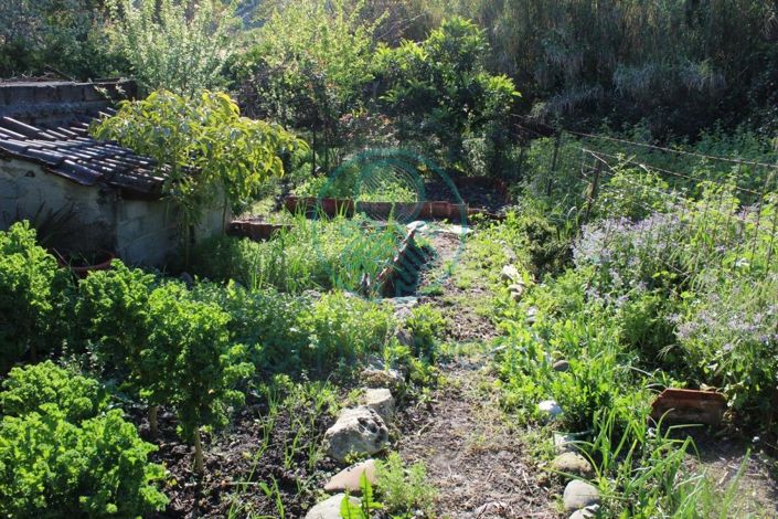 Image No.9-Maison de 3 chambres à vendre à Grèce