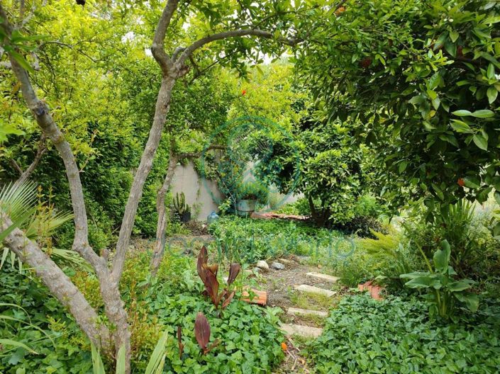 Image No.22-Maison de 3 chambres à vendre à Grèce