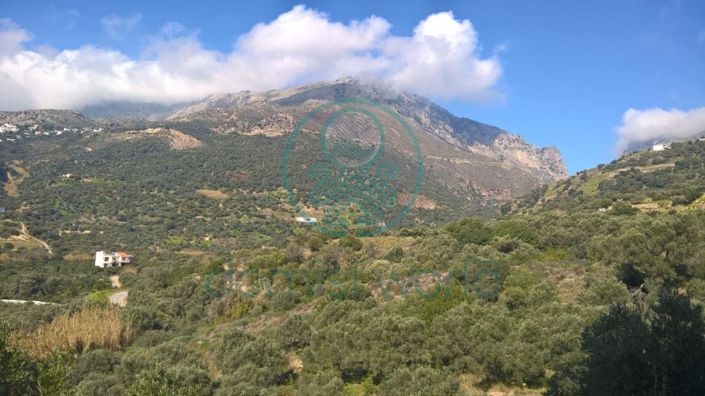 Image No.9-Villa for sale