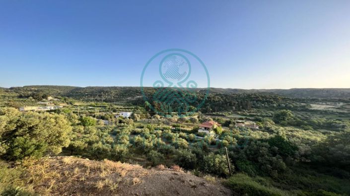 Image No.3-House for sale