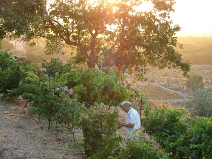 Image No.21-5 Bed Villa for sale