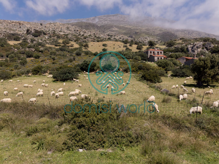 Image No.19-Villa de 3 chambres à vendre à Ag Paraskevi