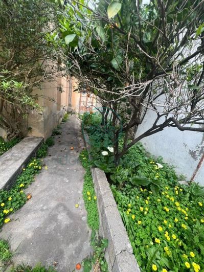 Image No.5-3 Bed House for sale