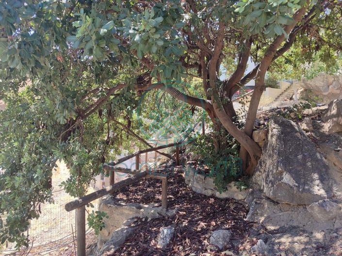 Image No.17-Maison de 3 chambres à vendre à Grèce