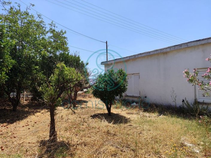 Image No.13-4 Bed House for sale