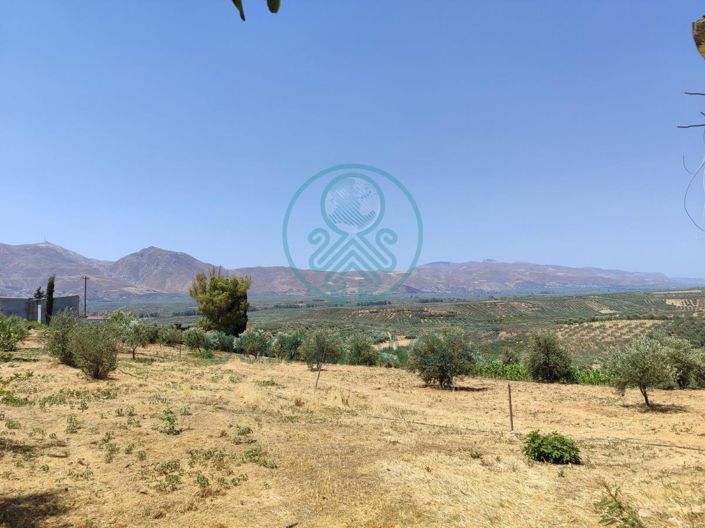 Image No.7-4 Bed House for sale