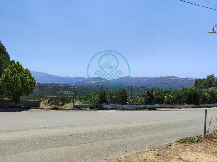 Image No.8-4 Bed House for sale