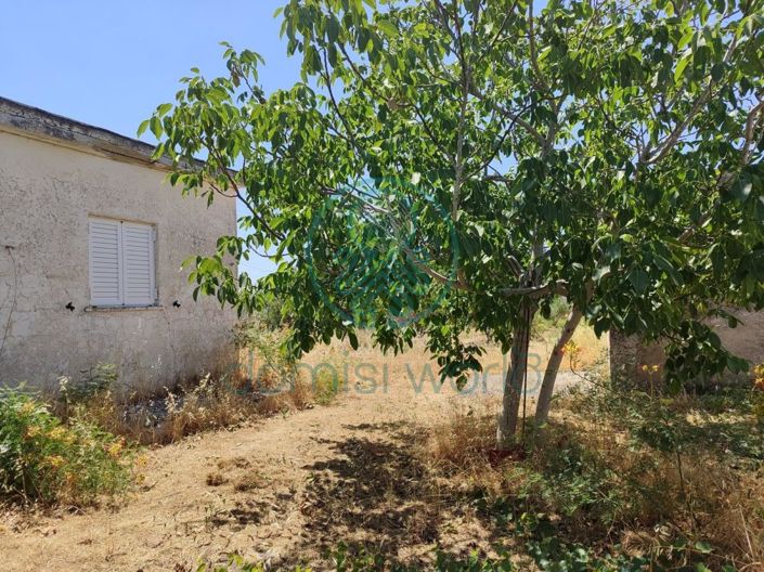 Image No.9-4 Bed House for sale