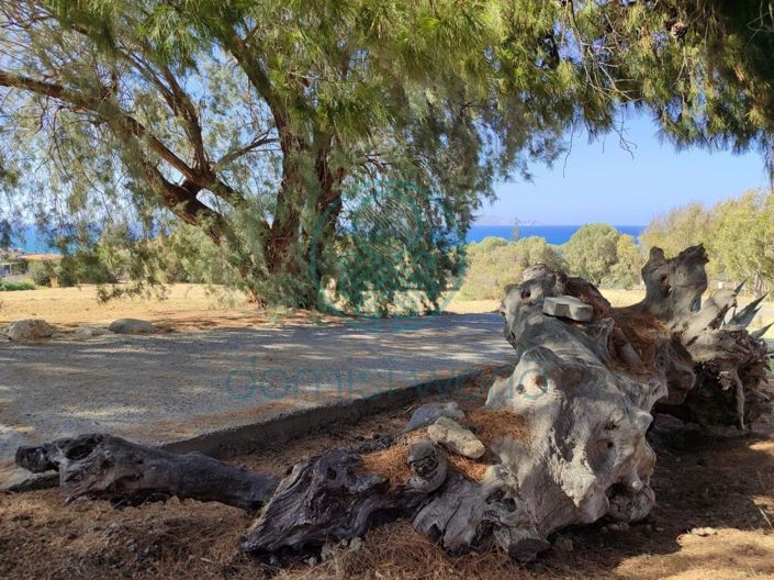 Image No.17-5 Bed House for sale