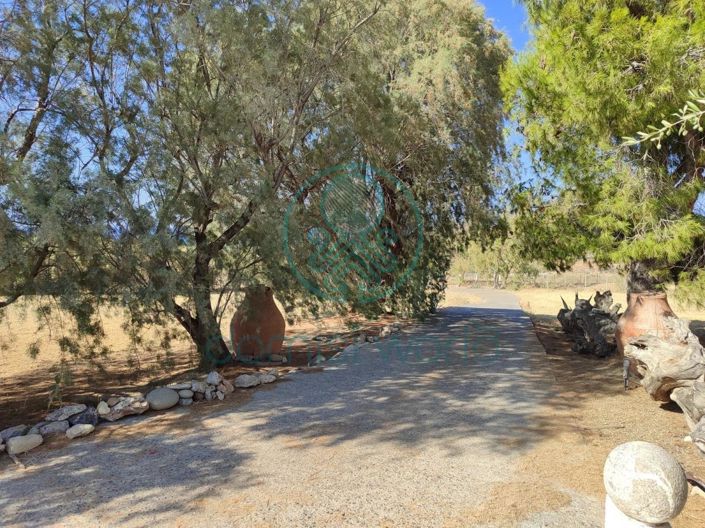 Image No.8-5 Bed House for sale