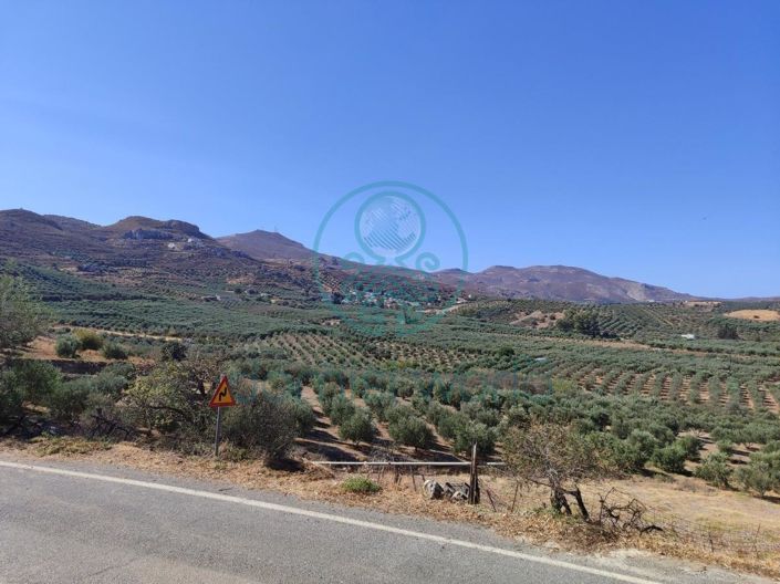 Image No.3-4 Bed House for sale