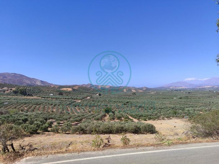 Image No.5-4 Bed House for sale