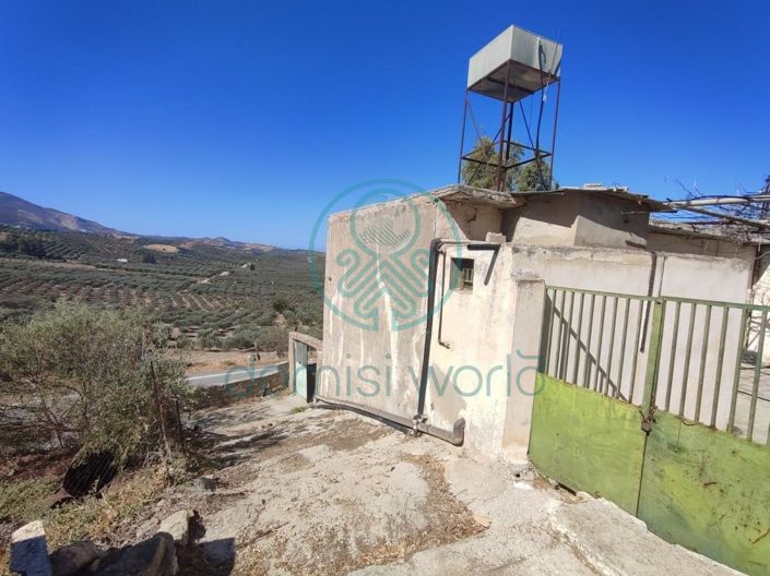 Image No.9-4 Bed House for sale