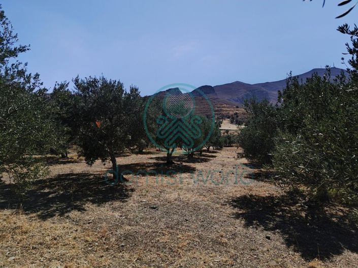 Image No.18-Maison de 1 chambre à vendre à Grèce