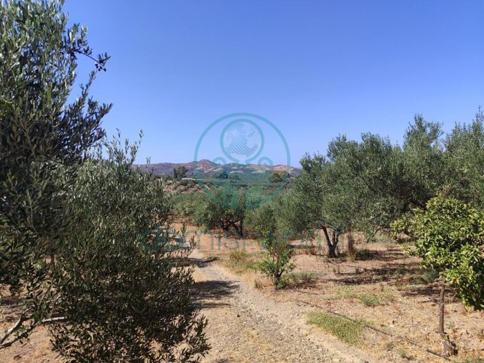 Image No.19-Maison de 1 chambre à vendre à Grèce