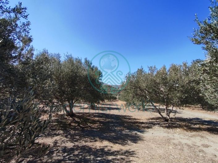 Image No.3-Maison de 1 chambre à vendre à Grèce