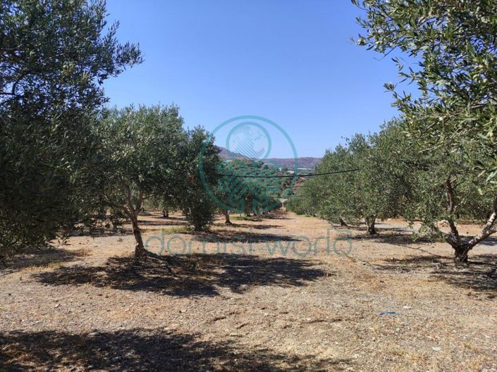 Image No.9-Maison de 1 chambre à vendre à Grèce