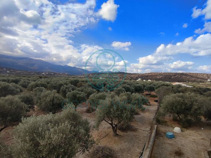 Image No.8-5 Bed House for sale