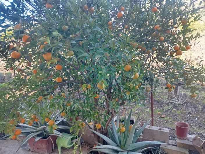 Image No.11-4 Bed House for sale