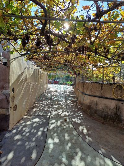 Image No.7-Villa de 3 chambres à vendre à Grèce