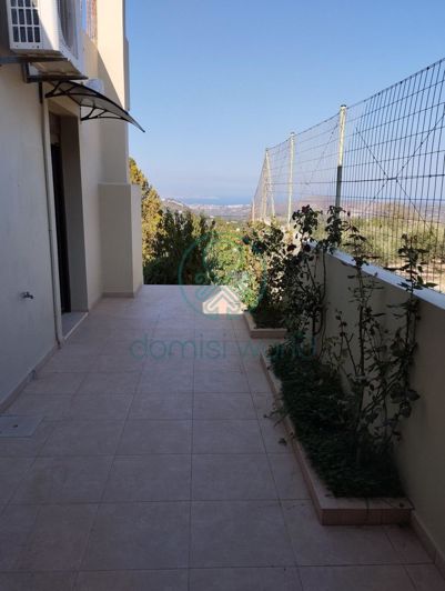 Image No.16-Maison de 3 chambres à vendre à Vasilies