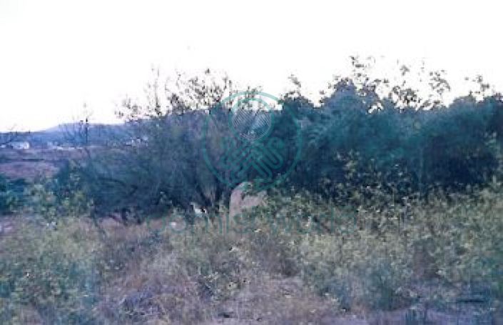 Image No.3-Maison à vendre à Kythira