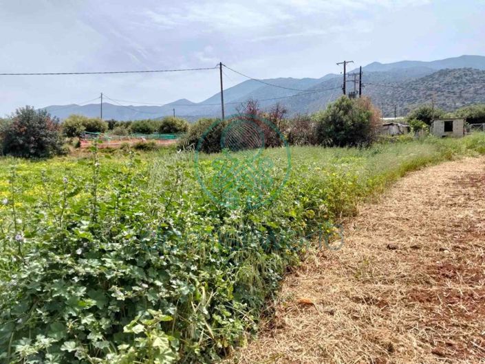 Image No.12-House for sale