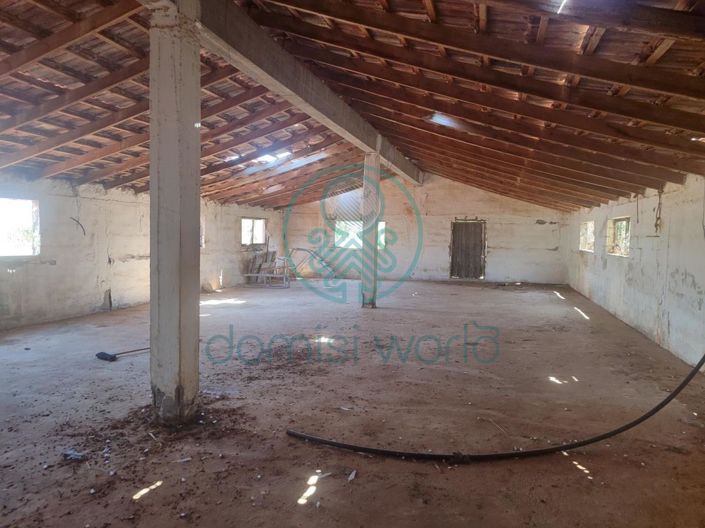 Image No.5-House for sale