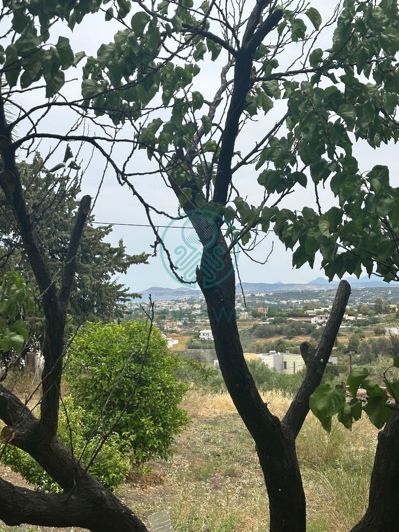 Image No.7-4 Bed Property for sale