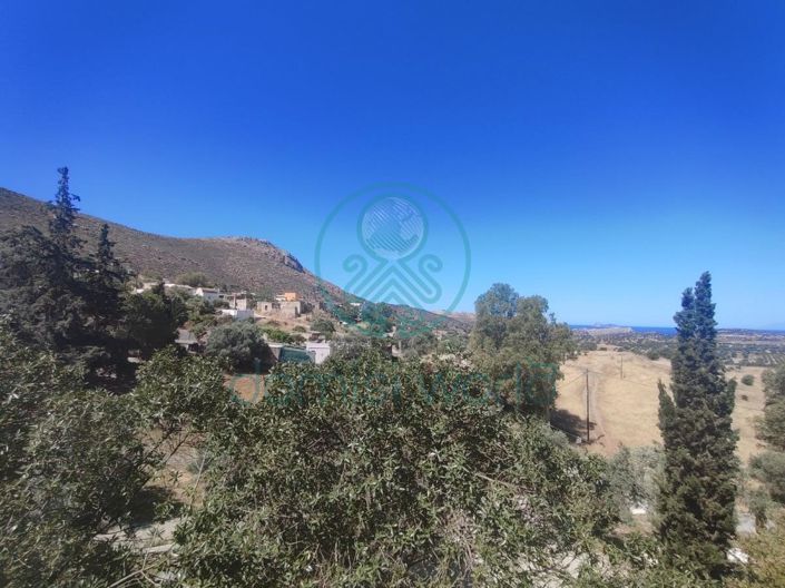 Image No.22-3 Bed House for sale