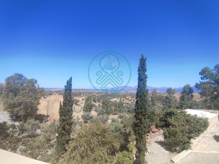 Image No.6-3 Bed House for sale