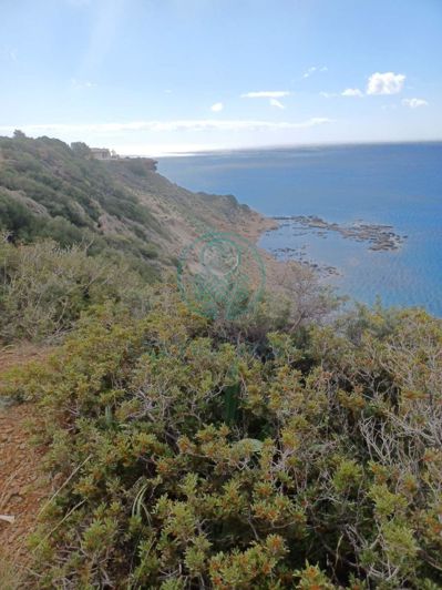 Image No.19-3 Bed House for sale