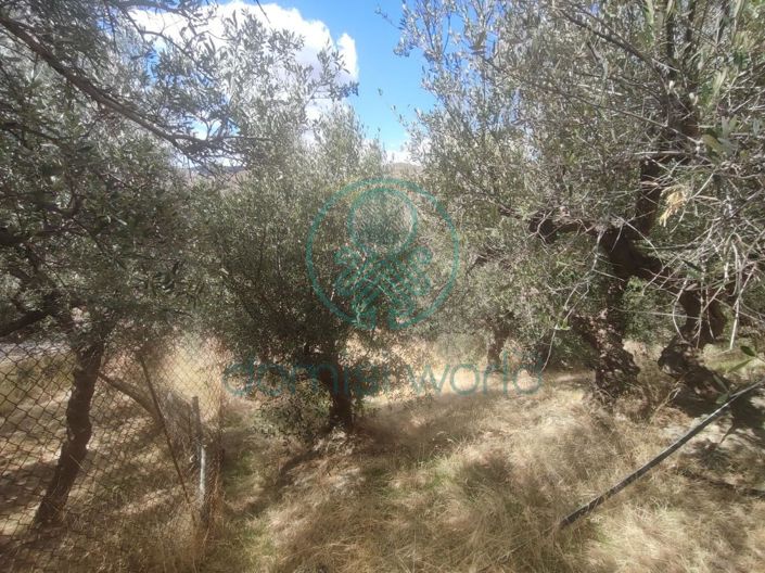 Image No.19-Villa / Détaché de 2 chambres à vendre à Grèce