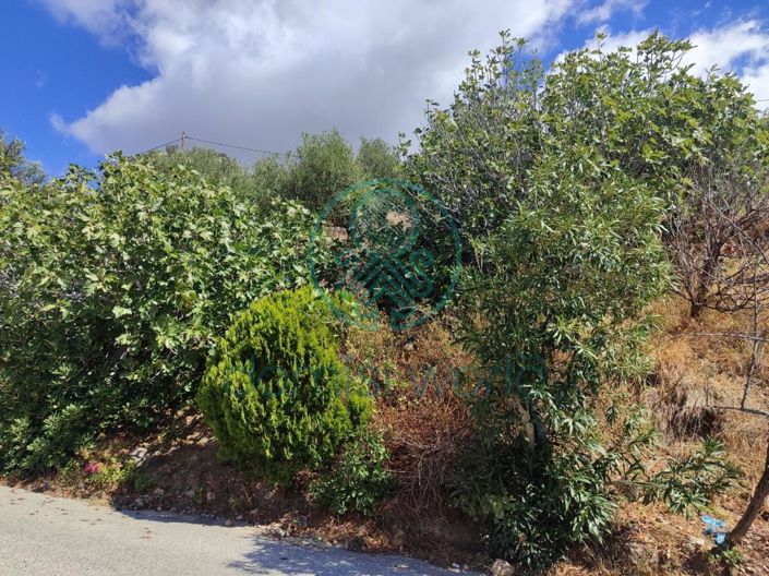 Image No.21-Villa / Détaché de 2 chambres à vendre à Grèce