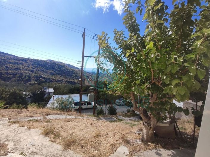 Image No.16-4 Bed House for sale