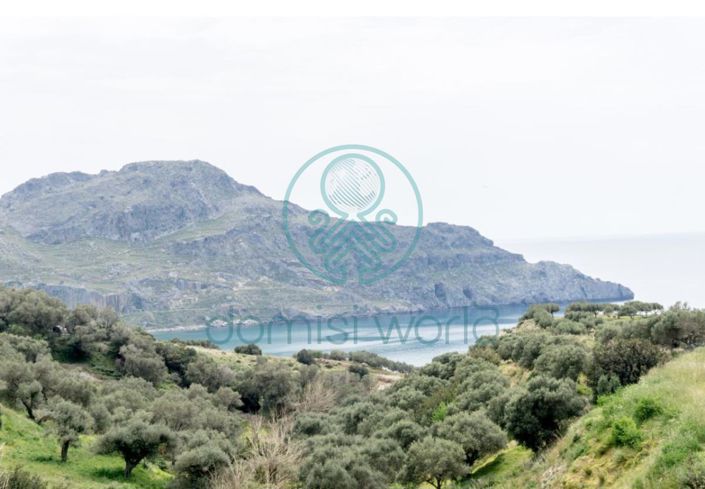 Image No.6-Villa à vendre à Sellia