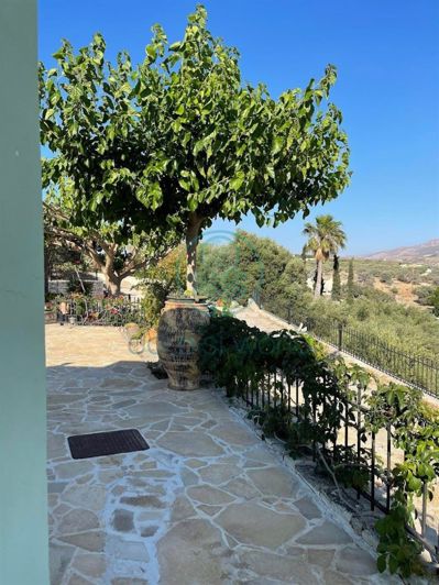 Image No.24-Villa de 3 chambres à vendre à Pitsidia