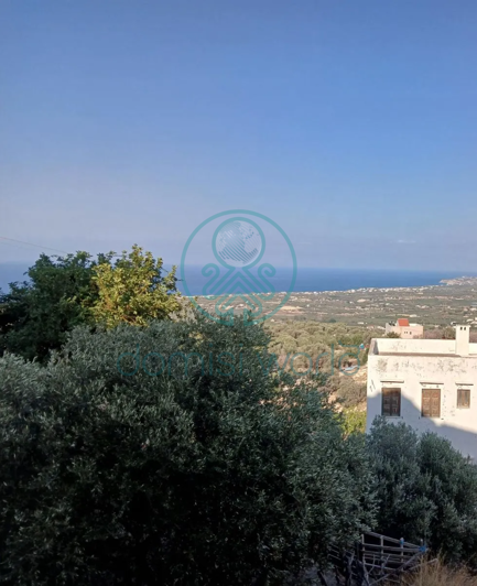 Image No.2-1 Bed House for sale