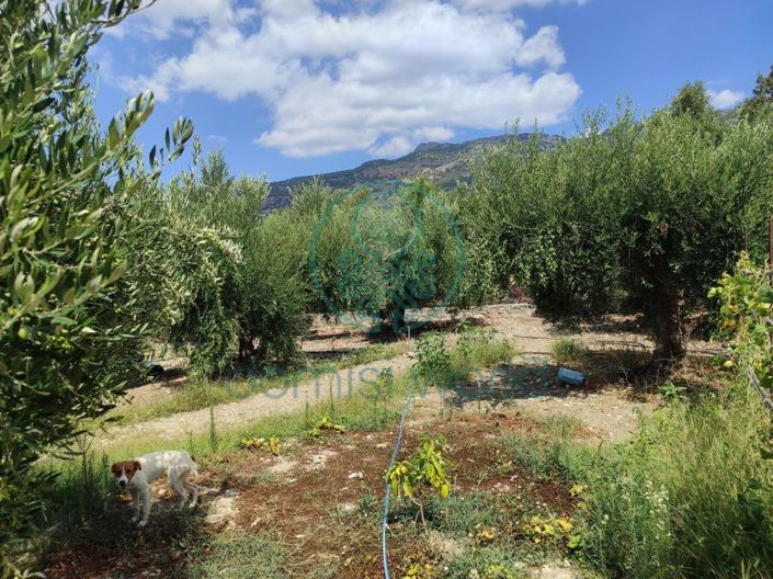 Image No.14-2 Bed House for sale