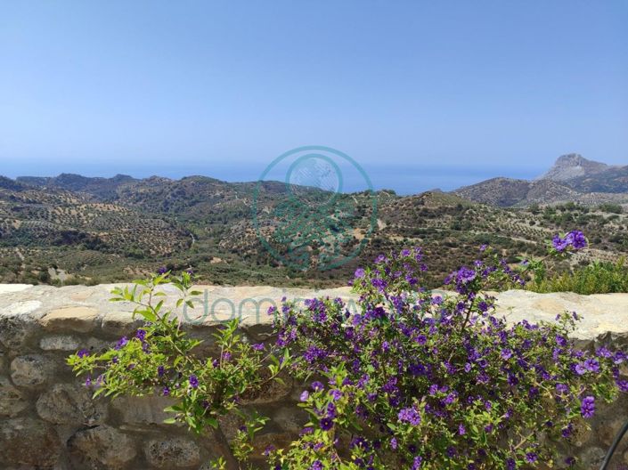 Image No.3-2 Bed House for sale