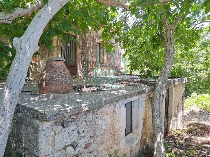 Image No.4-Maison à vendre à Grèce