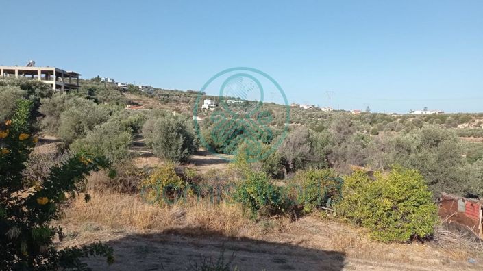 Image No.9-Maison de 1 chambre à vendre à Grèce