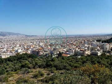 1 - Center, Appartement