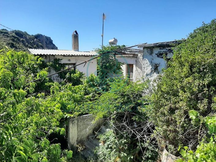 Image No.2-House for sale