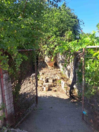 Image No.9-House for sale