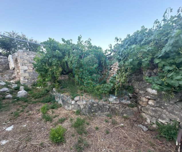 Image No.2-House for sale