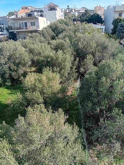 Image No.11-6 Bed Villa / Detached for sale