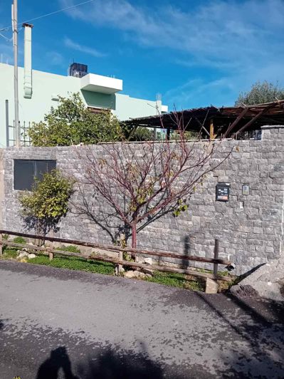 Image No.3-6 Bed Villa / Detached for sale