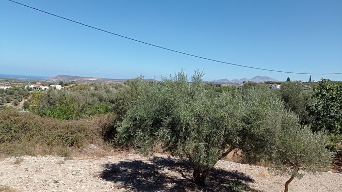 Image No.16-Villa de 3 chambres à vendre à Crète