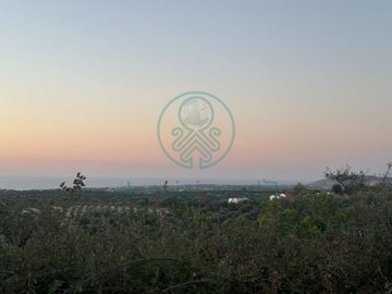 1-37275431